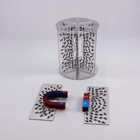 Модель для демонстрации в объеме линий магнитного поля